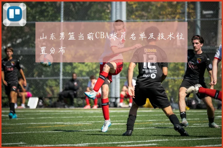 山东男篮当前CBA球员名单及技术位置分布