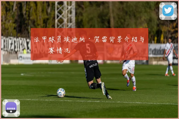 法甲球员埃迪纳·贺雷背景介绍与参赛情况