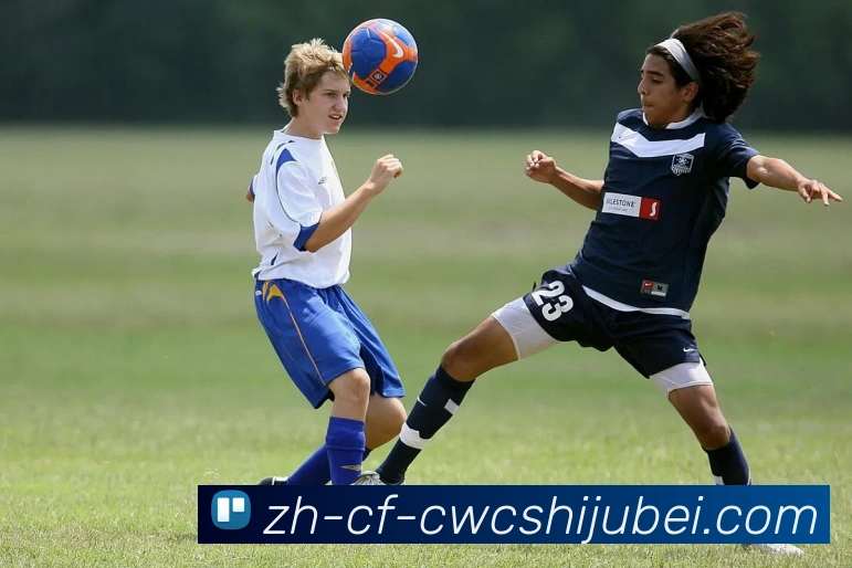 世界杯买球服务体系