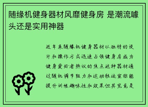 随缘机健身器材风靡健身房 是潮流噱头还是实用神器